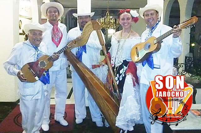 grupo jarocho económico